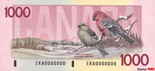 Tył wycofanego banknotu 1000 dolarów kanadyjskich z 1986 roku - seria Ptaki